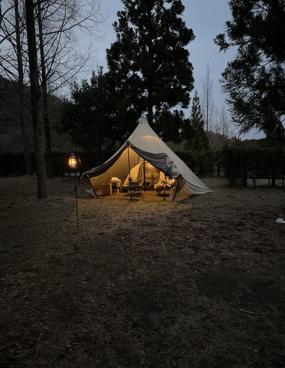 サバティカル　モーニンググローリー&DOD カンガルーテントS モニグロ&カンガルーテントで定番のカンガルースタイル