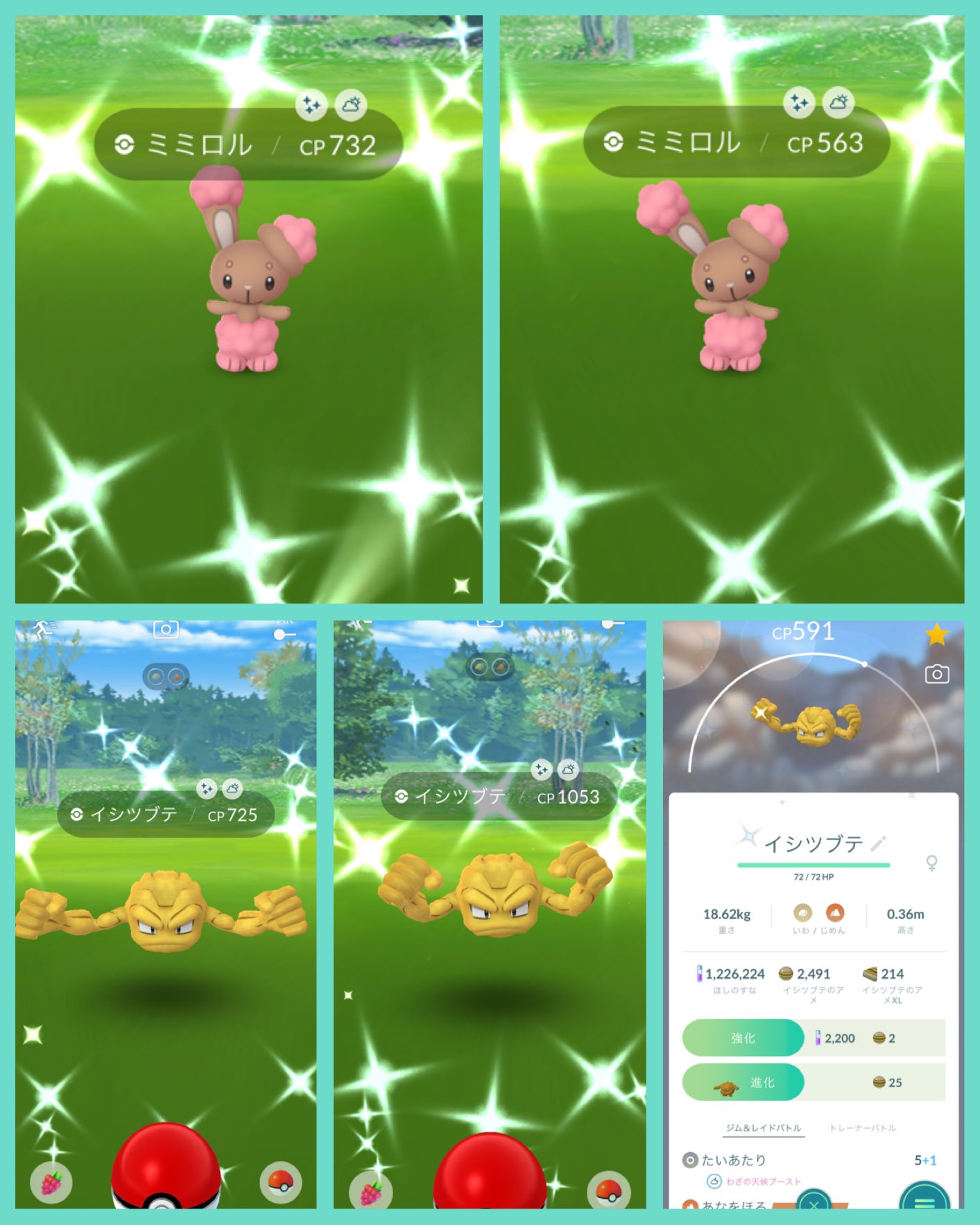 Minton Poteton ポケモンgo ２日目お疲れ様 ㅅ でした なんでかたよるかなぁ Ww ポケモンgo 色違い スペシャルウィークエンド T Co 112a0v7xq2 Twitter