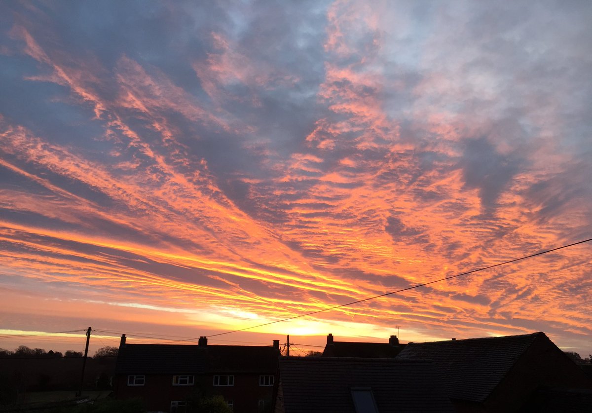 Catherine Tinker tweet media