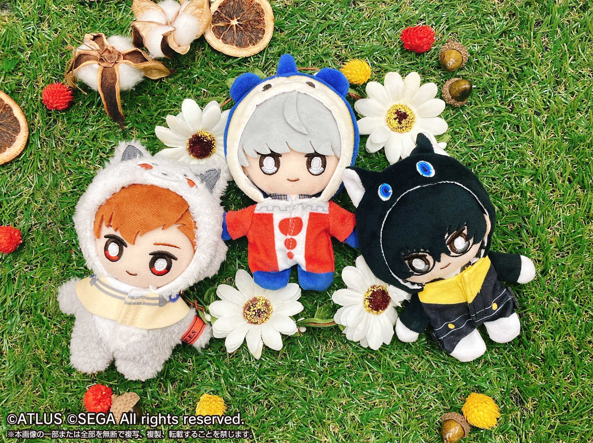 shopぬい【バンダイナムコヌイ公式】 on X: 