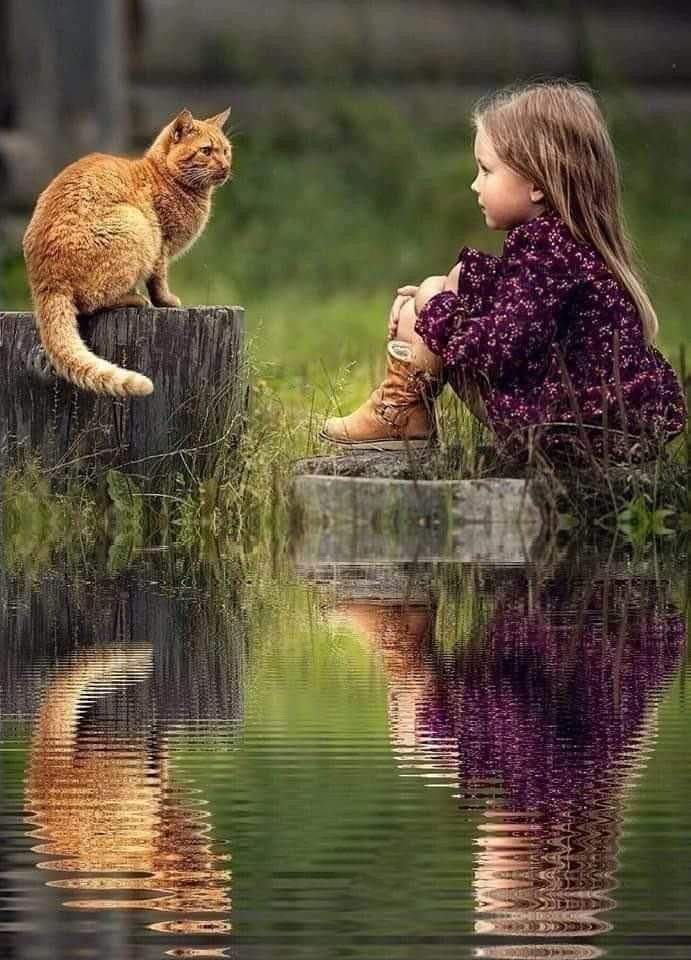 هناك أشياء بسيطه جدا ،لكنها تعطي 
للحياه حياه 💜

#صباح_الخير