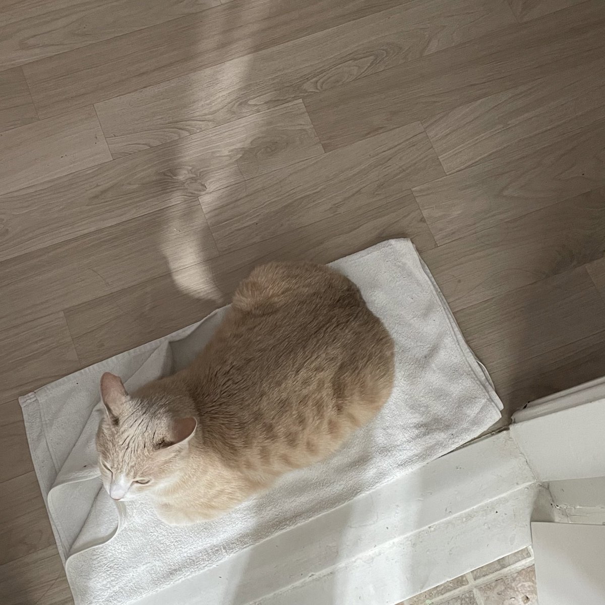 withmypotato's tweet photo. 화장실지킴이 https://t.co/gzGin3ABr8