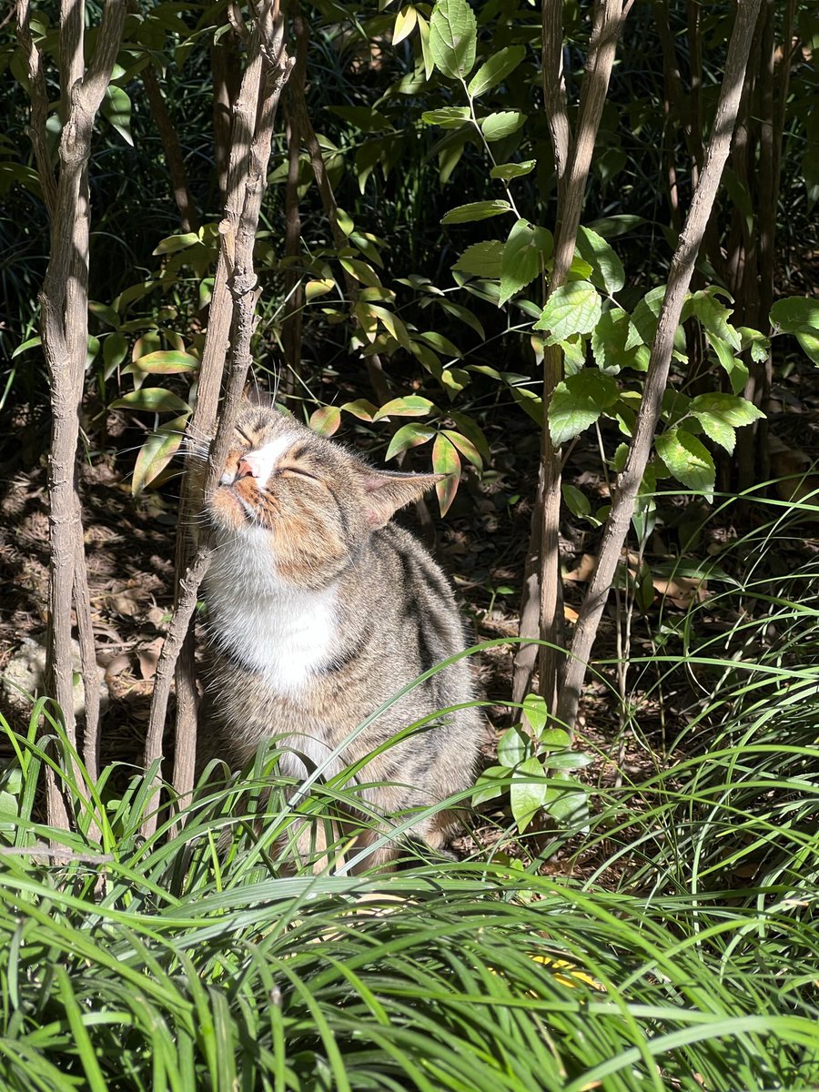 life is wonderful, isn’t it?