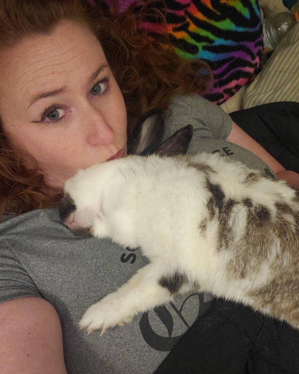 BbtgEve's tweet photo. My babygirl Brooklyn passed away Sept 12th... Miss my girl every day. I've started a fundraiser in honor of my baby #brooklynstrong - insta and Facebook... For animals with disabilities and chronic illnesses! https://t.co/eeRA44FocP