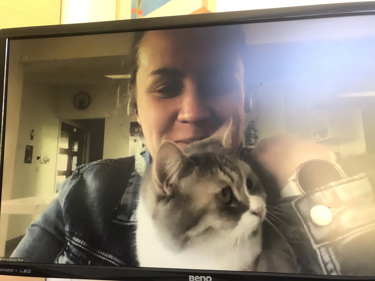 AndreaRowe_au's tweet photo. I can’t help but feel that @annaspargoryan ‘s cat is secretly writing a best selling novel while desk lurking during our @Writers_Vic @peninsulawrite1 #Writeability monthly online workshops. #writerscats #writeability https://t.co/9f2hFKT8Oa