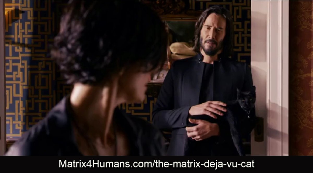 Matrix4Humans's tweet photo. Is The Matrix Philosophy? Religion? Psychology? We let the Deja Vu Cat out of the bag at https://t.co/KDOkGjOUYL. Follow #Matrix4Humans for more. #TheMatrixResurrections #ReturnToTheSource #TheMatrix #TheMatrixMovie #TheMatrix4 #Matrix https://t.co/yRUEd10CAY