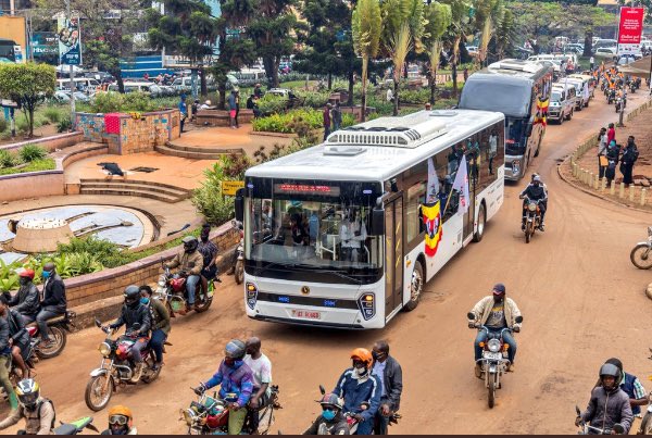 PIMusasizi's tweet photo. The Bus                            The Bus Plant https://t.co/hcYLMDheLr