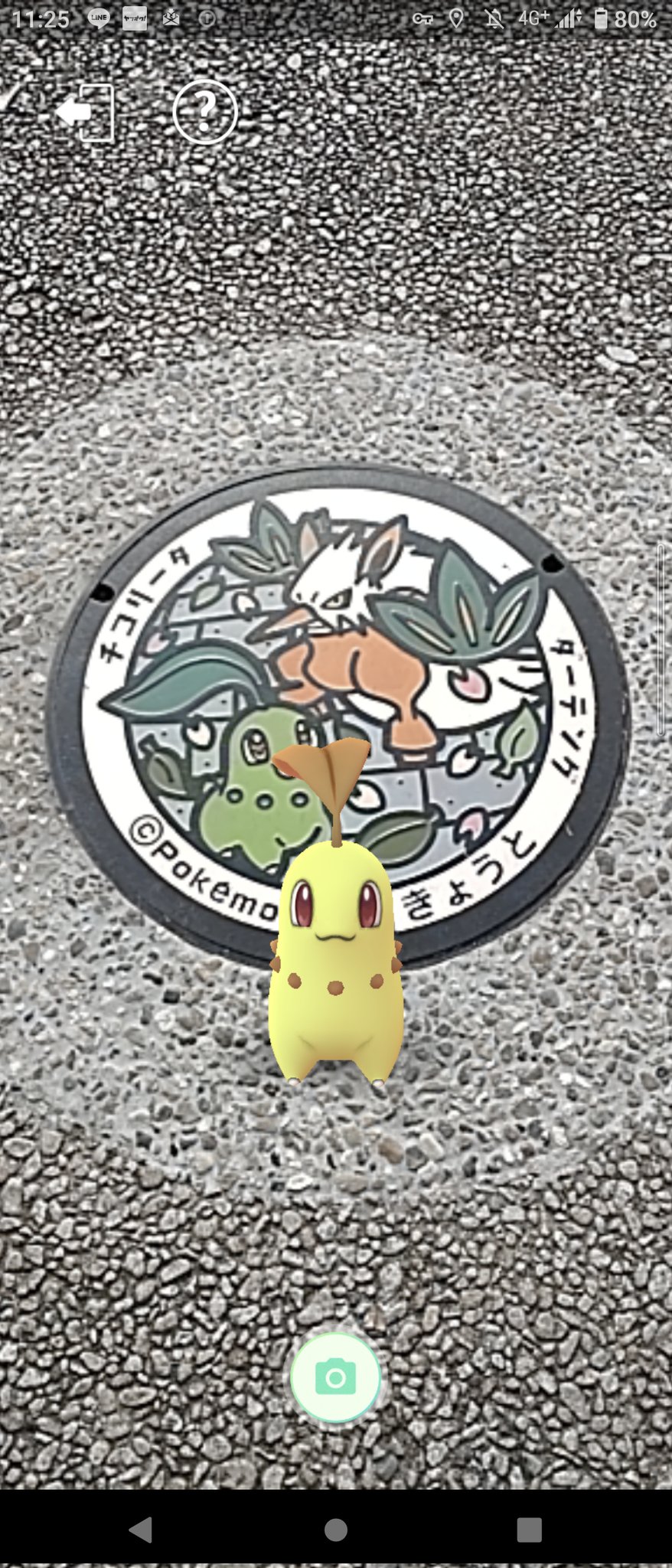 Akiira ポケモンgo 京都 西京極総合運動公園のマンホール 見つけてきた チコリータノーマル残してなくて 色違いで撮影 ポケモンgo ポケストップ チコリータ ダーテング 京都 西京極 T Co 2oudi9sdje Twitter