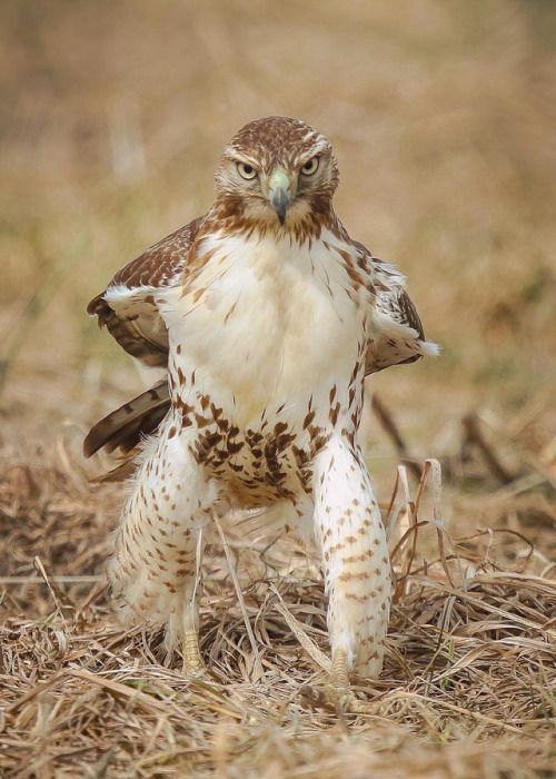 Alessandro ⚓️ NO DM tweet media