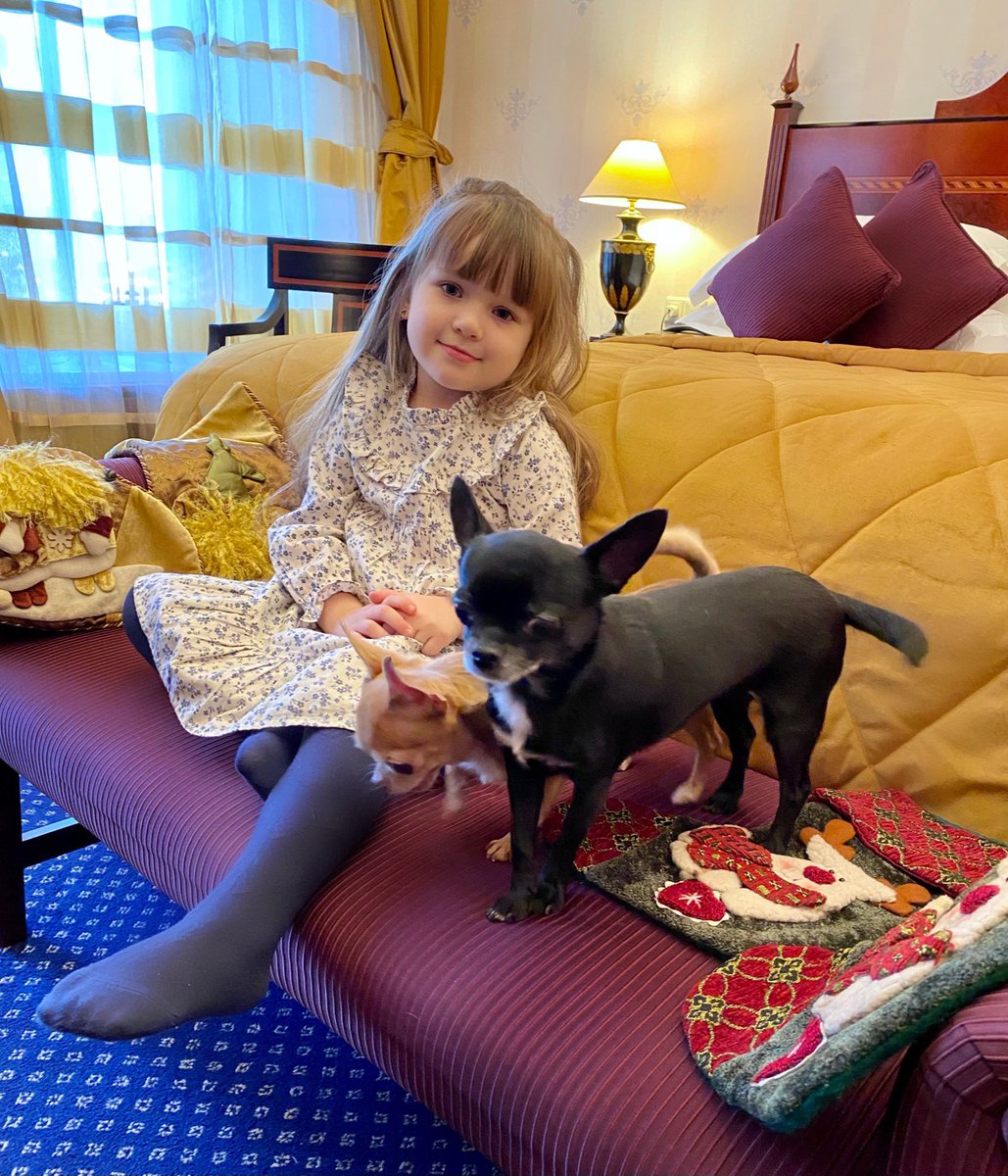 Hotelmoika22's tweet image. Новогоднее путешествие с семьей принесёт ещё больше восторга, если взять с собой любимых собачек.

A New Year getaway will be more joyful travelling with your family and lovely dogs.

#petsfriendly #dogsfriendly #familygetaway #familyholiday