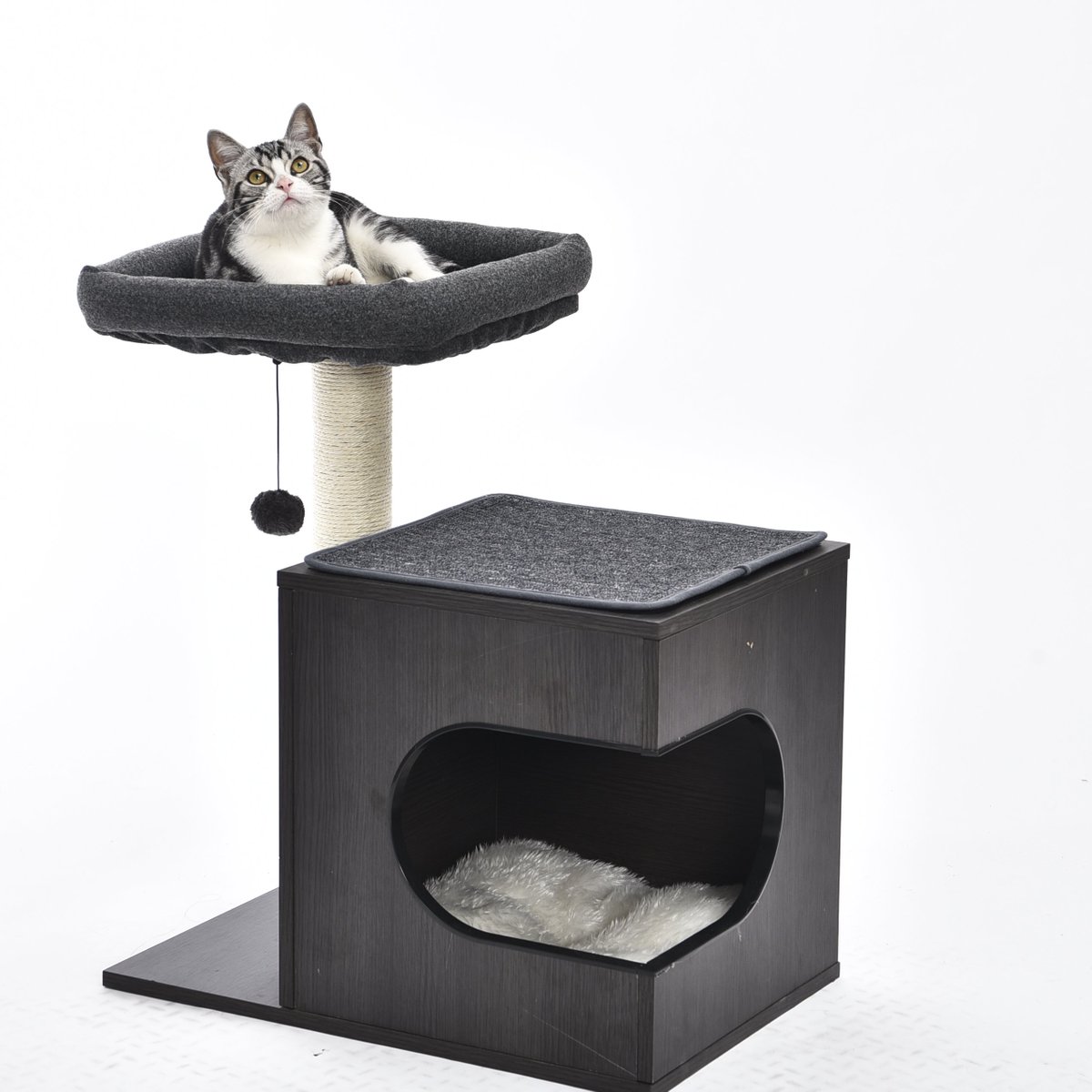 PetsMade4's tweet photo. Sometimes we feel tired because we are lost in our life.#catoftheday #cat #catlover #catlife #cats #catbed #catbedsforsale  #love #like #follow #photography #photooftheday  #likeforlikes #picoftheday https://t.co/THPqPBbXEo