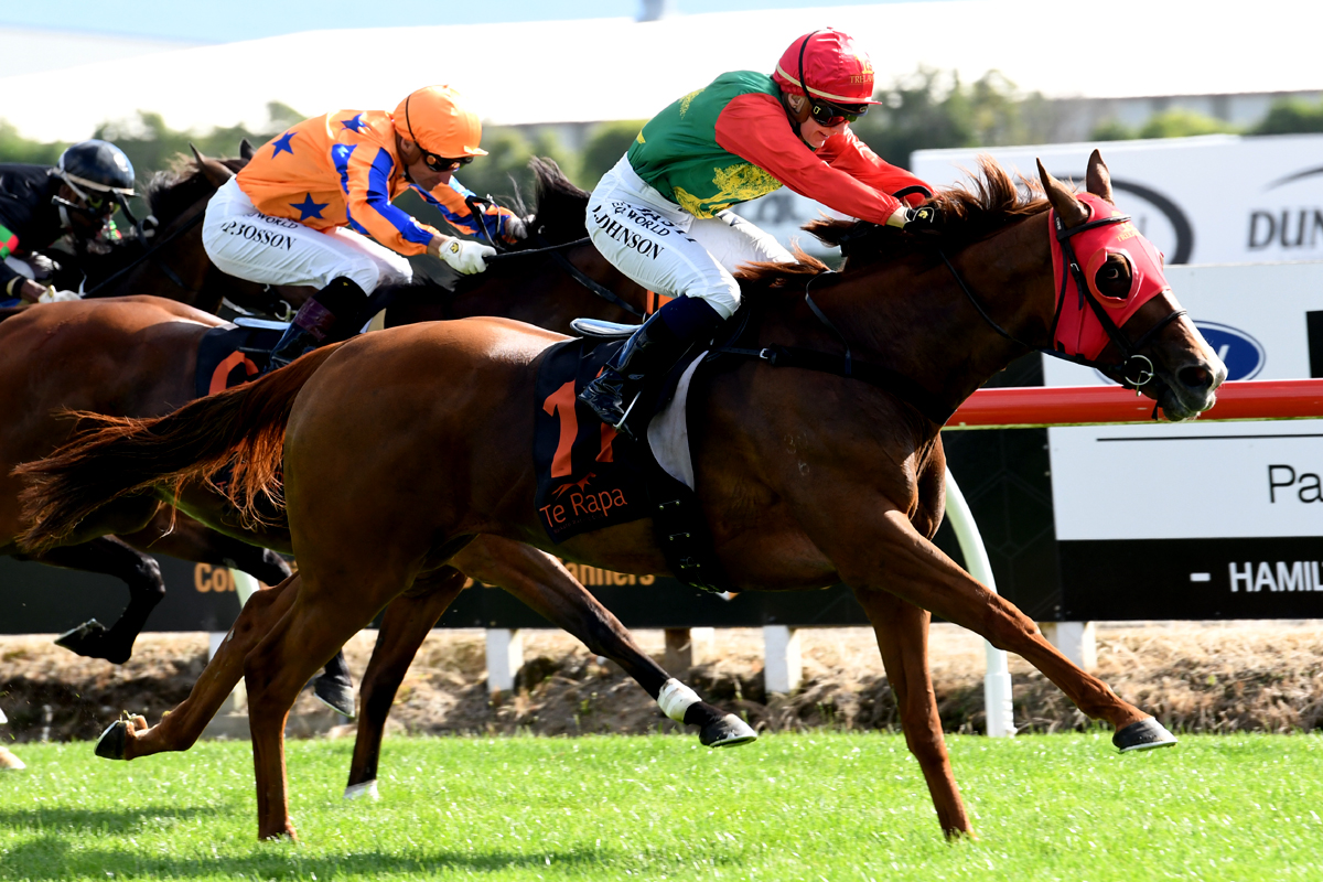 nzracingnews's tweet photo. NEWS: @Kingsclere_Nz and @TrelawneyStudNZ had a stellar day @TeRapaRacing picking up two Group wins including the day's feature, the Gr.1 Rydges Wellington Captain Cook Stakes with #TwoIllicit.
https://t.co/2Wt5MFeEOC https://t.co/EJOgwzURH5