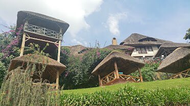 birdnestresort's tweet photo. The festive season also known as the Family time is almost here!!! Do you have plans yet? We give a home like feeling to you and yours. Check us out on reservations@birdnestresort.com and book for your staycation. https://t.co/sQzRyboYny