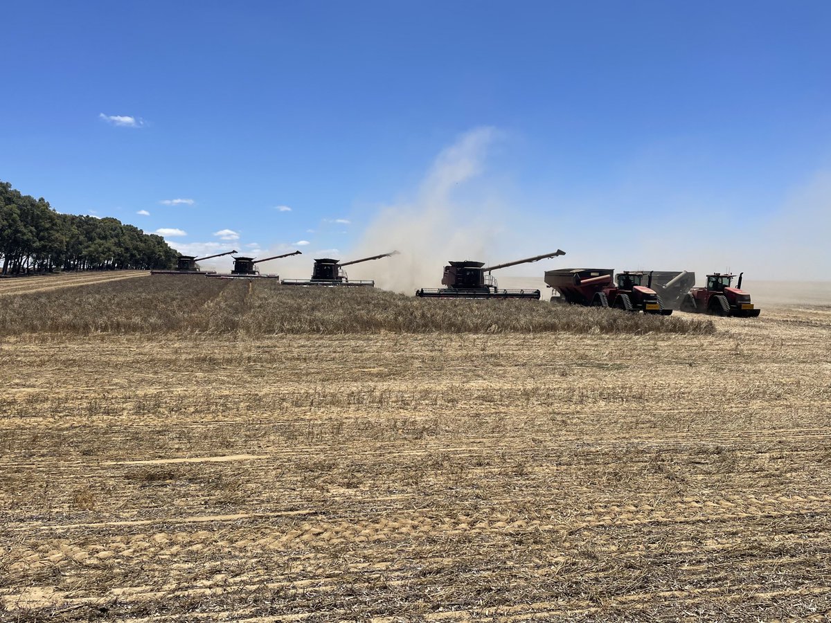 #harvest21 done. Thanks to an awesome team of people. ⁦@BradMillsteed⁩ sorry mate