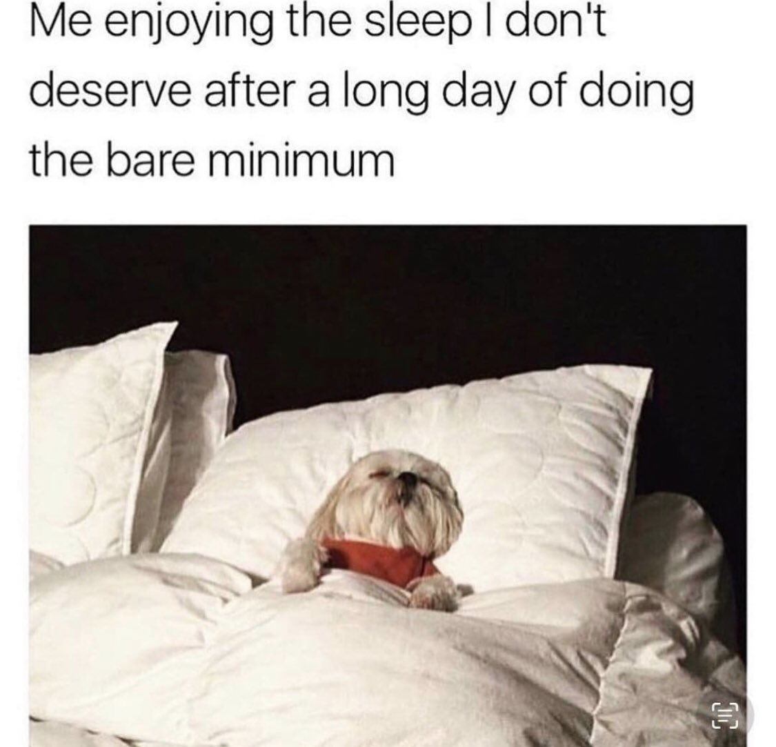 introvert memes (@introvertsmemes) on Twitter photo Me Me