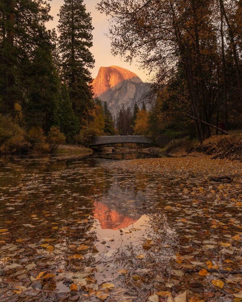 National Park Geek® tweet media