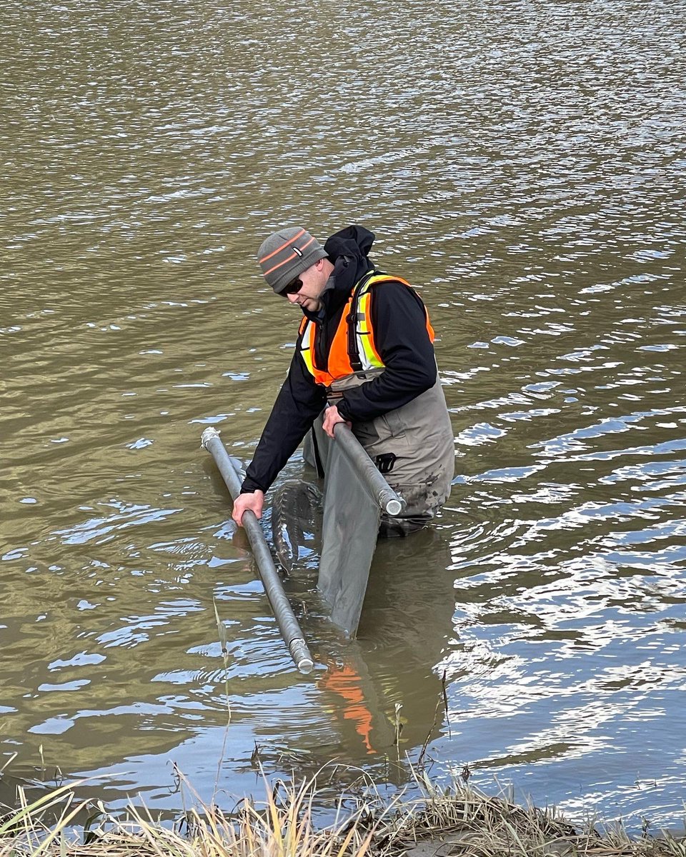 Fraser Valley Angling Guides Association tweet media