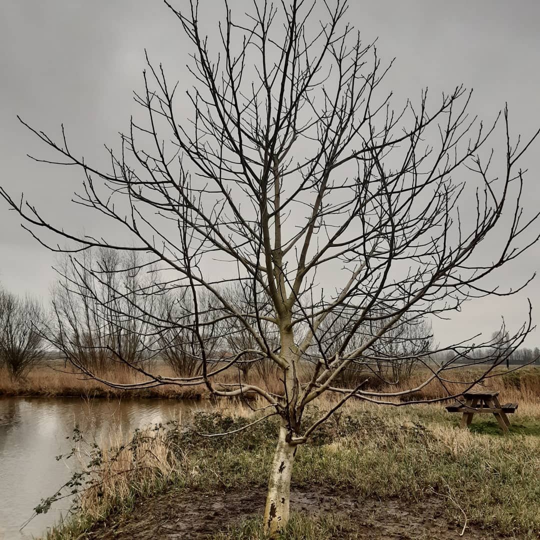 Hij kon niet meer beter worden..maar toch komt overlijden altijd onverwachts. Mijn neef van 46,brengen we vandaag naar zijn laatste rustplaats.Oude pijn komt boven,helaas al te vaak jonge familieleden verloren.Mijn neef genoot van het leven,ik probeer daar aan vast te houden.