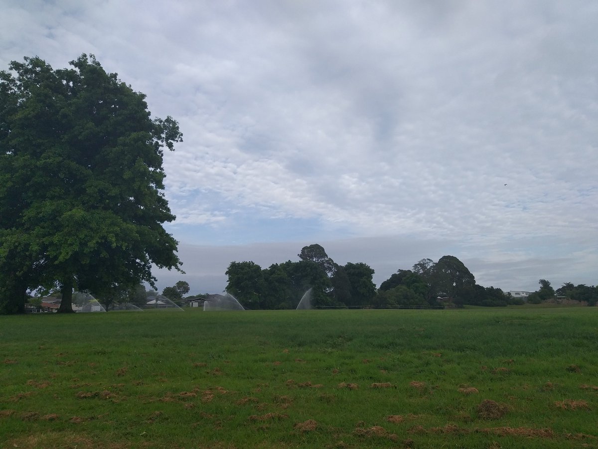 Lisa_Zate's tweet image. 🐷いこまいかい運動部🌸🌼
✅walking 1.5h 
今日は週末なので緑 気温 鳥達 散歩してる人たち そしてクリスマスツリー観賞 外で自然から 感謝
#ダイエット倶楽部 #老化防止 #exerciselover #水2L