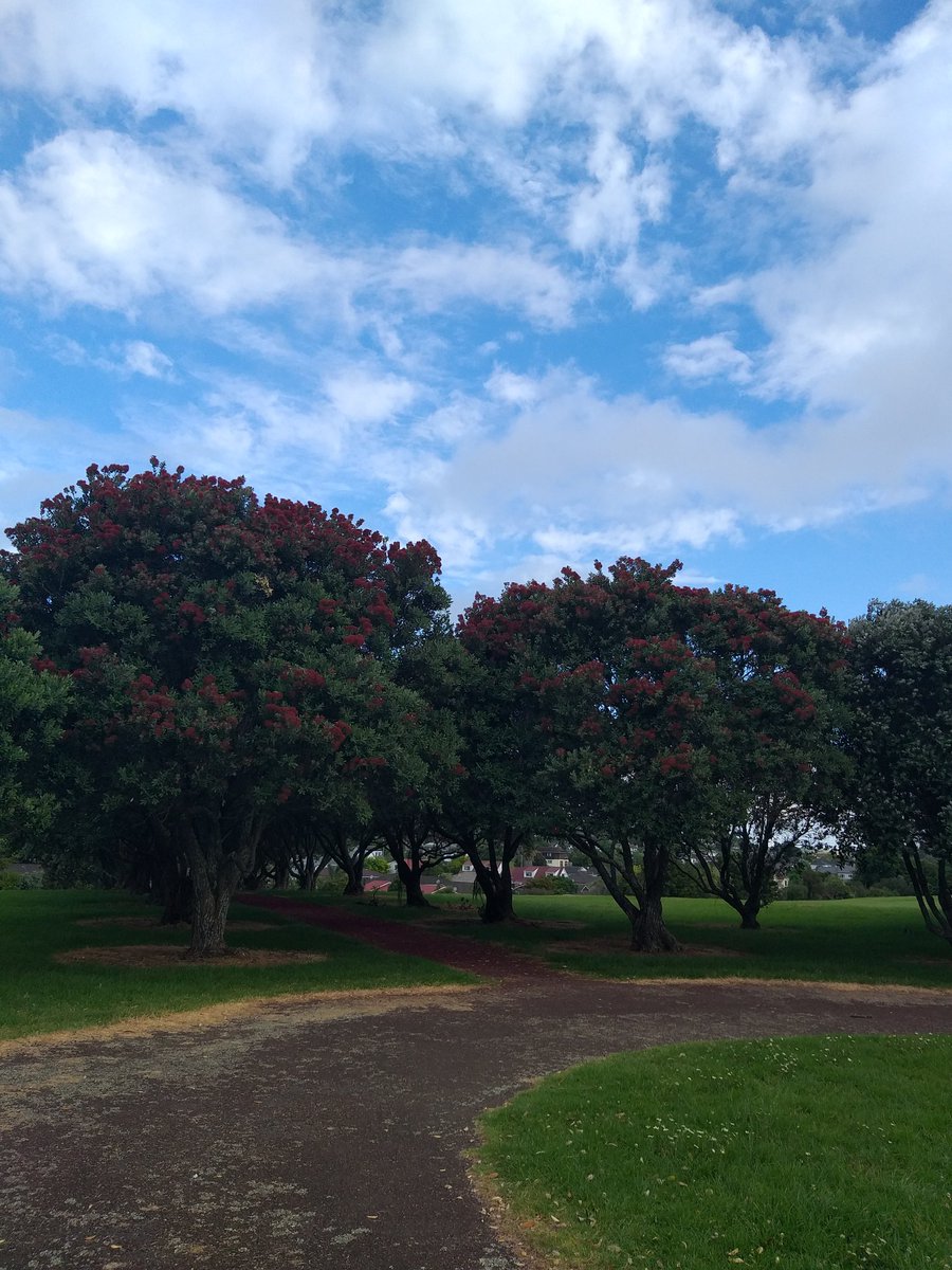 Lisa_Zate's tweet image. 🐷いこまいかい運動部🌸🌼
✅walking 1.5h 
今日は週末なので緑 気温 鳥達 散歩してる人たち そしてクリスマスツリー観賞 外で自然から 感謝
#ダイエット倶楽部 #老化防止 #exerciselover #水2L