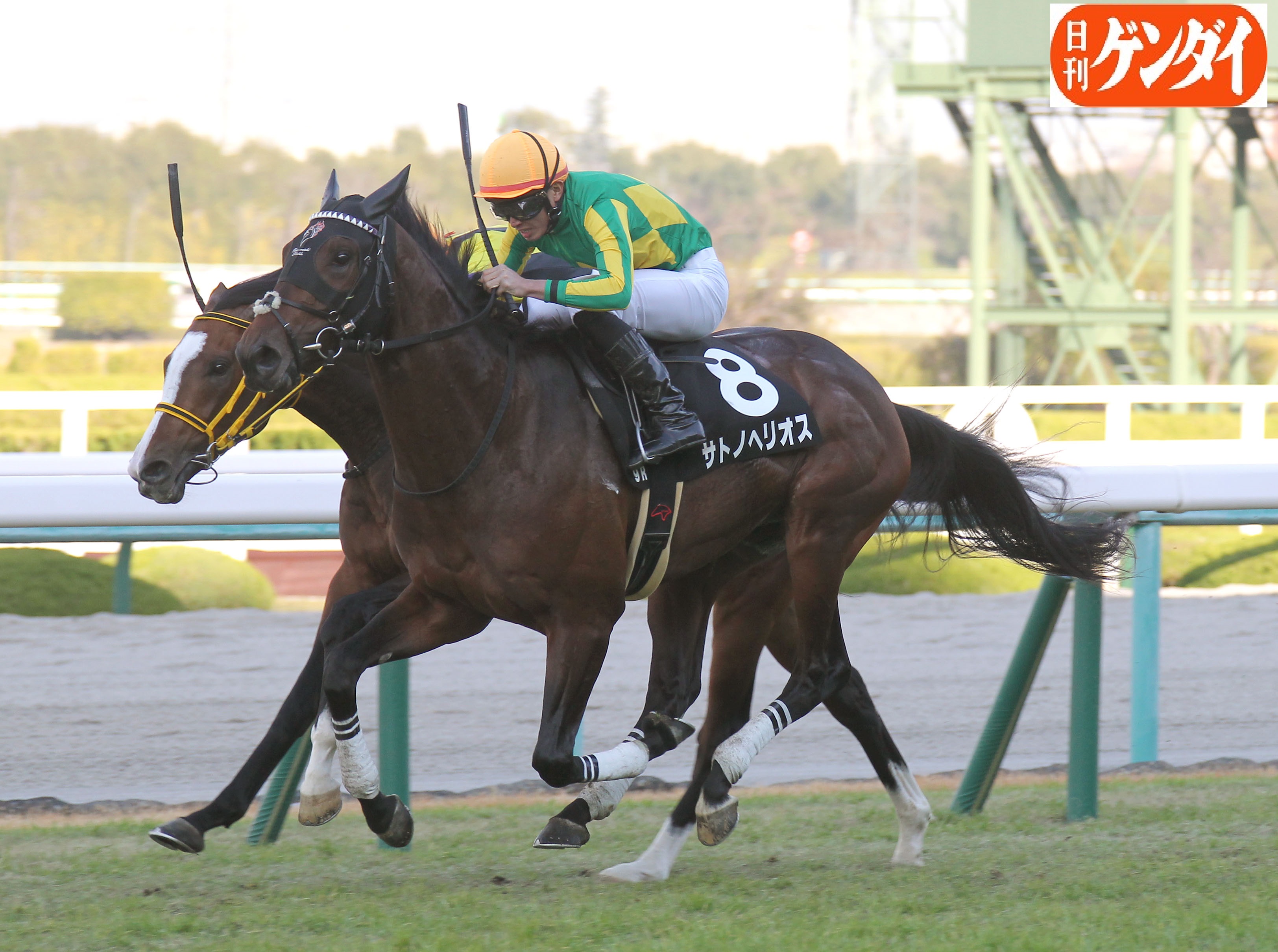 日刊ゲンダイ 競馬 今年のエリカ賞は エピファネイア産駒サトノヘリオスがｖ 同レースは タヤスツヨシ アドマイヤベガ クロフネ アドマイヤグルーヴ キングカメハメハ エイシンフラッシュにヴィルシーナと錚々たる面々が制している １分５９秒７の
