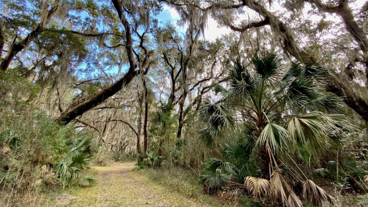 SSLandTrust's tweet photo. Making plans to visit Cannon's Point Preserve over the next few weeks? Click the link for updated holiday hours: https://t.co/QC5ql25PlO
#cannonspointpreserve #holidayhours #sslt https://t.co/eTzi9dEX34