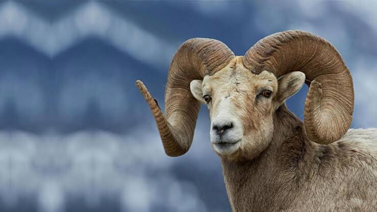 #AtatürkAtamızDeğil dediler , Gerçek atalarınızı bulduk