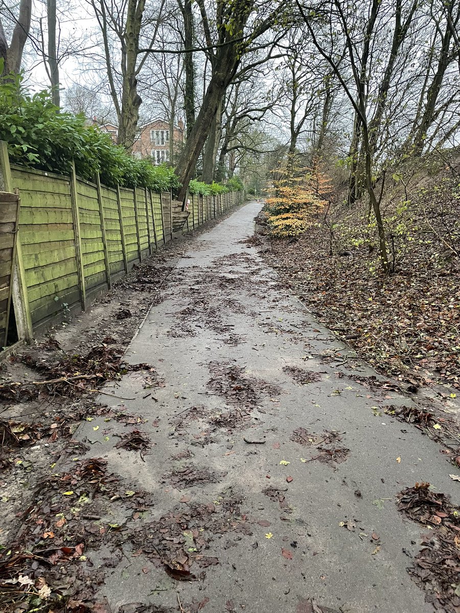 Wilmslowparkrun's tweet photo. Variable ground conditions today but well the 139 finishers! A special congratulations to our 4 brand new first timers. A huge thank you for our amazing volunteers!! Results are out, runreport might follow later! #DFYP Don't Forget Your Party, 16/12/21 7:30 Coach&amp;Four SK9 1PA🎄 https://t.co/xrzNLcvOty