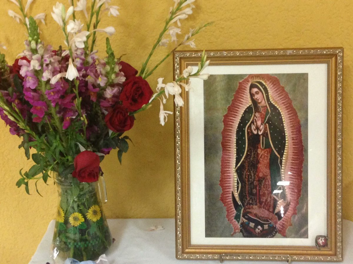 sendoutservants's tweet photo. Many are celebrating the Feast of Our Lady of Guadalupe today. She has a special place for all involved with SOS. This image miraculously appeared before our first Mission Trip and has been with us ever since. Read the full story here: https://t.co/5yKAza7wle
#ourladyofguadalupe https://t.co/PQ3FUBLmYp