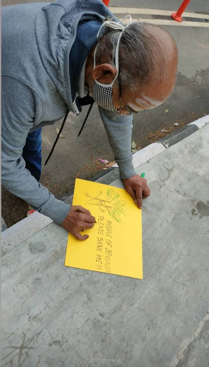 What you can do: 
Save trees from Silk Board to Iblur: act.jhatkaa.org/campaigns/save…

On Bangalore Surrounding Roads: act.jhatkaa.org/campaigns/save…

#WeStandBecauseTheyDo
<a href="/Jhatkaadotorg/">Jhatkaa.org</a>