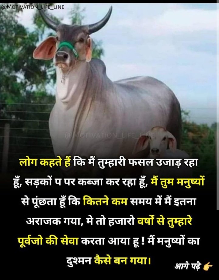 rev_194's tweet photo. पहले हमारे पास ट्रैक्टर नहीं थी आधुनिक तकनीक नहीं थी फिर भी हमारा देश कृषि प्रधान देश था और सोने की चिड़िया कहलाता था। सभी किसान के पास पर्याप्त मात्रा में पेट भरने के लिए भोजन होता था परंतु आज हमारे पास हर तरह की सुविधा होने के बावजूद कई किसान खाली पेट सोते हैं ,गरीब है https://t.co/cS4kpiGpfP
