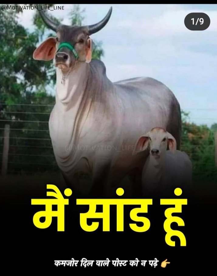 rev_194's tweet photo. पहले हमारे पास ट्रैक्टर नहीं थी आधुनिक तकनीक नहीं थी फिर भी हमारा देश कृषि प्रधान देश था और सोने की चिड़िया कहलाता था। सभी किसान के पास पर्याप्त मात्रा में पेट भरने के लिए भोजन होता था परंतु आज हमारे पास हर तरह की सुविधा होने के बावजूद कई किसान खाली पेट सोते हैं ,गरीब है https://t.co/cS4kpiGpfP
