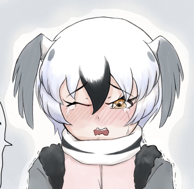 実は結構お気に入りなヒメクビワカモメくんの泣き顔 