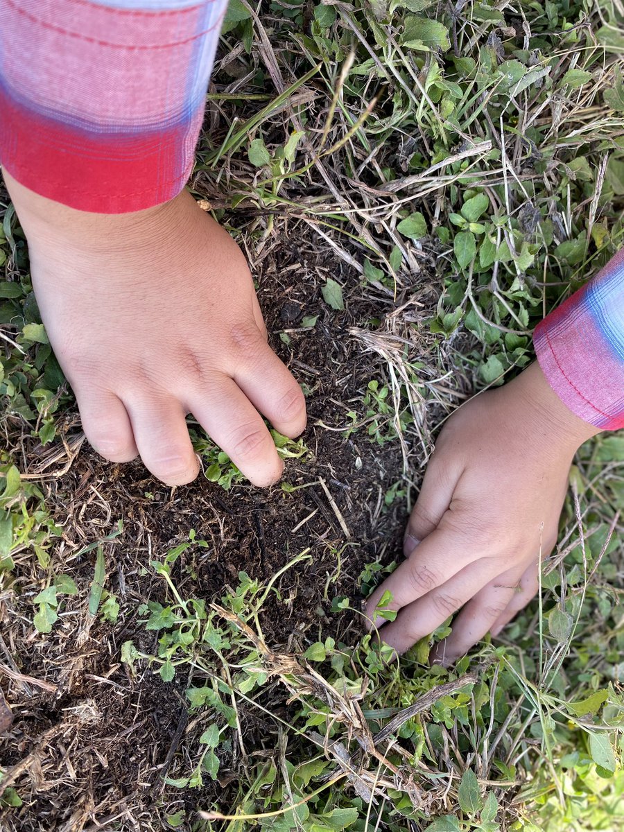 mariaxmtz1's tweet photo. Day 10:Outside Science Learning. Learning about soil! @LomaParkES #EISDScience @ScienceJessicaF https://t.co/cDurAG444q
