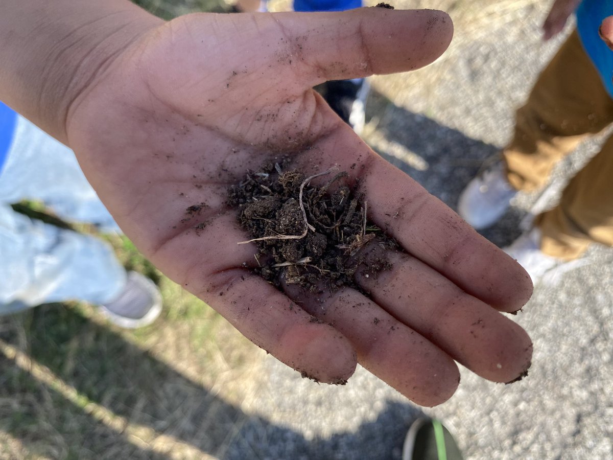 mariaxmtz1's tweet photo. Day 10:Outside Science Learning. Learning about soil! @LomaParkES #EISDScience @ScienceJessicaF https://t.co/cDurAG444q