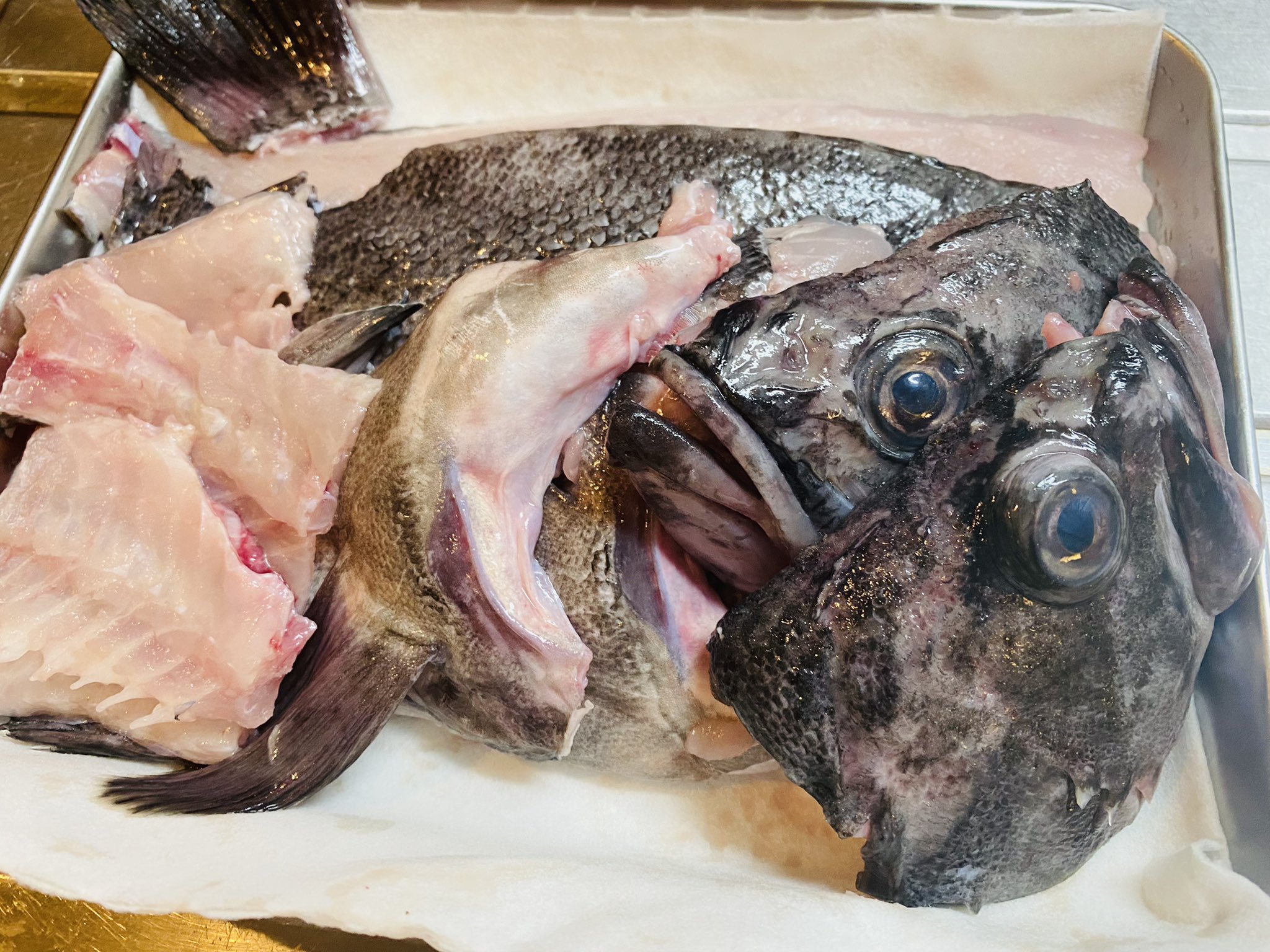 まいったねぇ Al Twitter 妻が珍しく魚のお鍋が食べたいというので いつも物がいい魚が並ぶスーパーに行き でっぷりと太った黒ソイ を買った 家に帰って捌いてみると出刃包丁が滑るくらいの脂のり 肝もしっかり入っていました 黒い皮と張りがあって透き通るような身