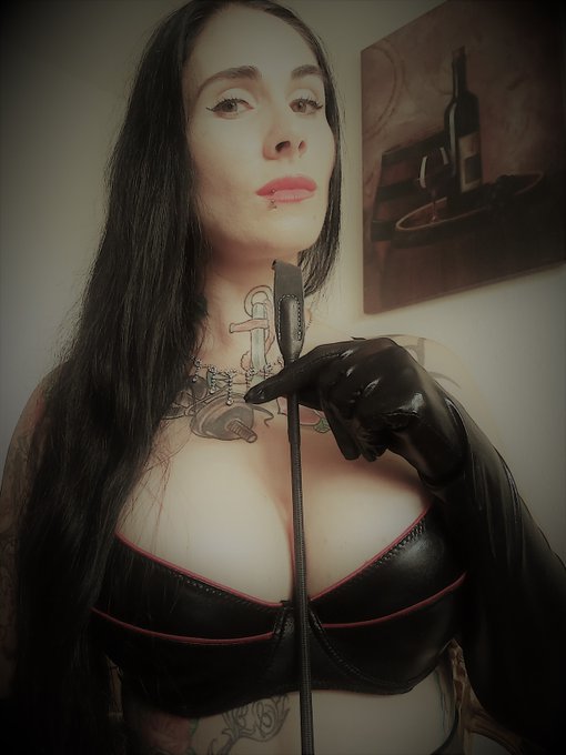 Schon gesehen welche Sklavenbonus Aktion es ab morgen gibt?? Zu finden unter den news auf https://t.co/cQhOJSwcF1 #fetisch<a href="/tag/mistress"class="tags"><span>#mistress</span></a><a href="/tag/fetisch"class="tags"><span>#fetisch</span></a><a href="/tag/herrin"class="tags"><span>#herrin</span></a><a href="/tag/dominantwomen"class="tags"><span>#dominantwomen</span></a>