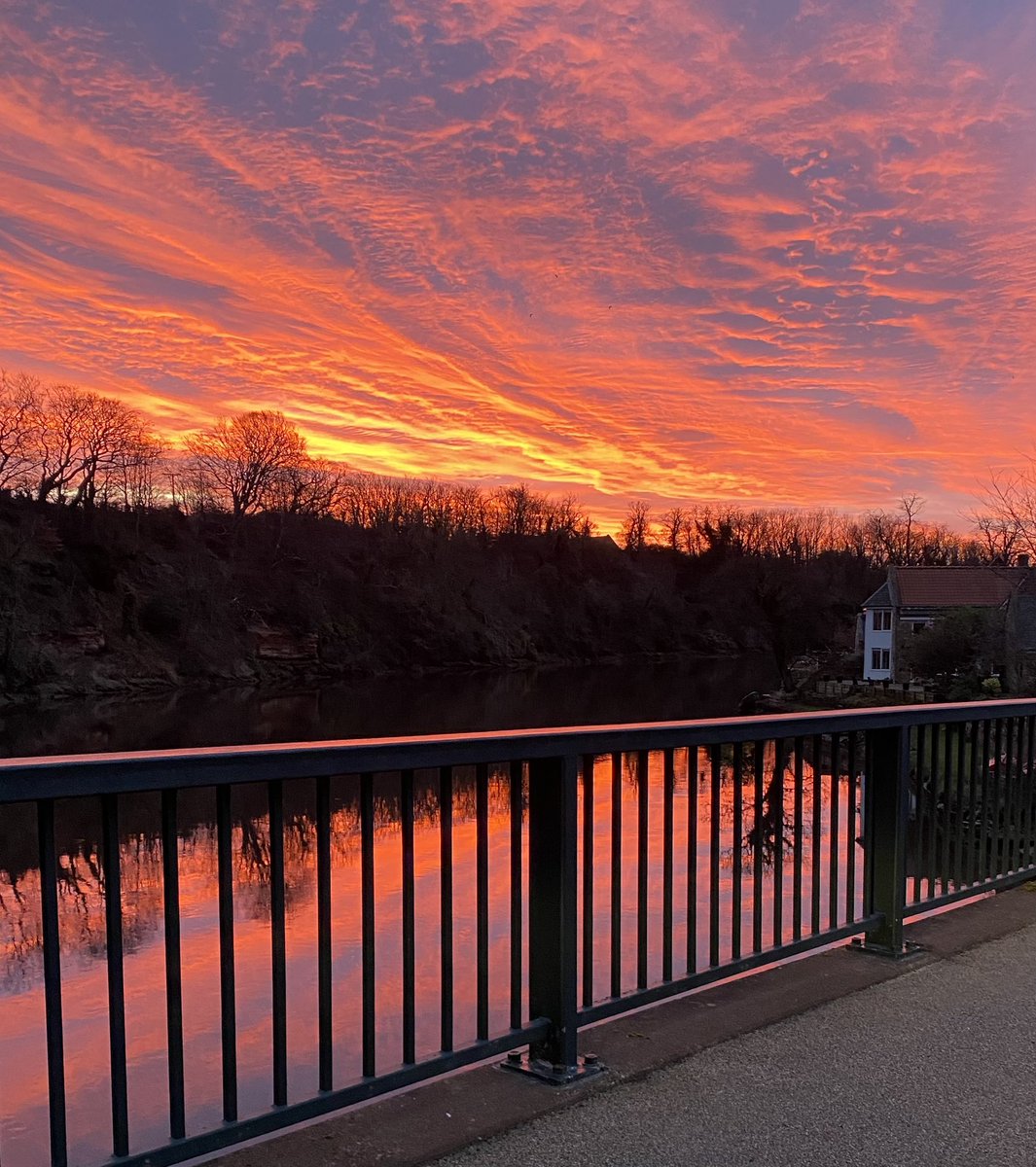 NorthsideSurf tweet media