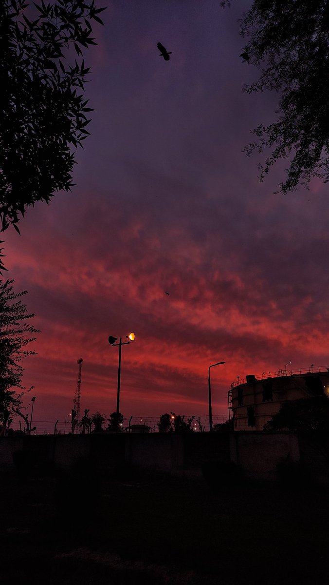 photugrapher's tweet photo. Easily one of the prettiest sunsets I've ever witnessed https://t.co/gugl8jpbZe