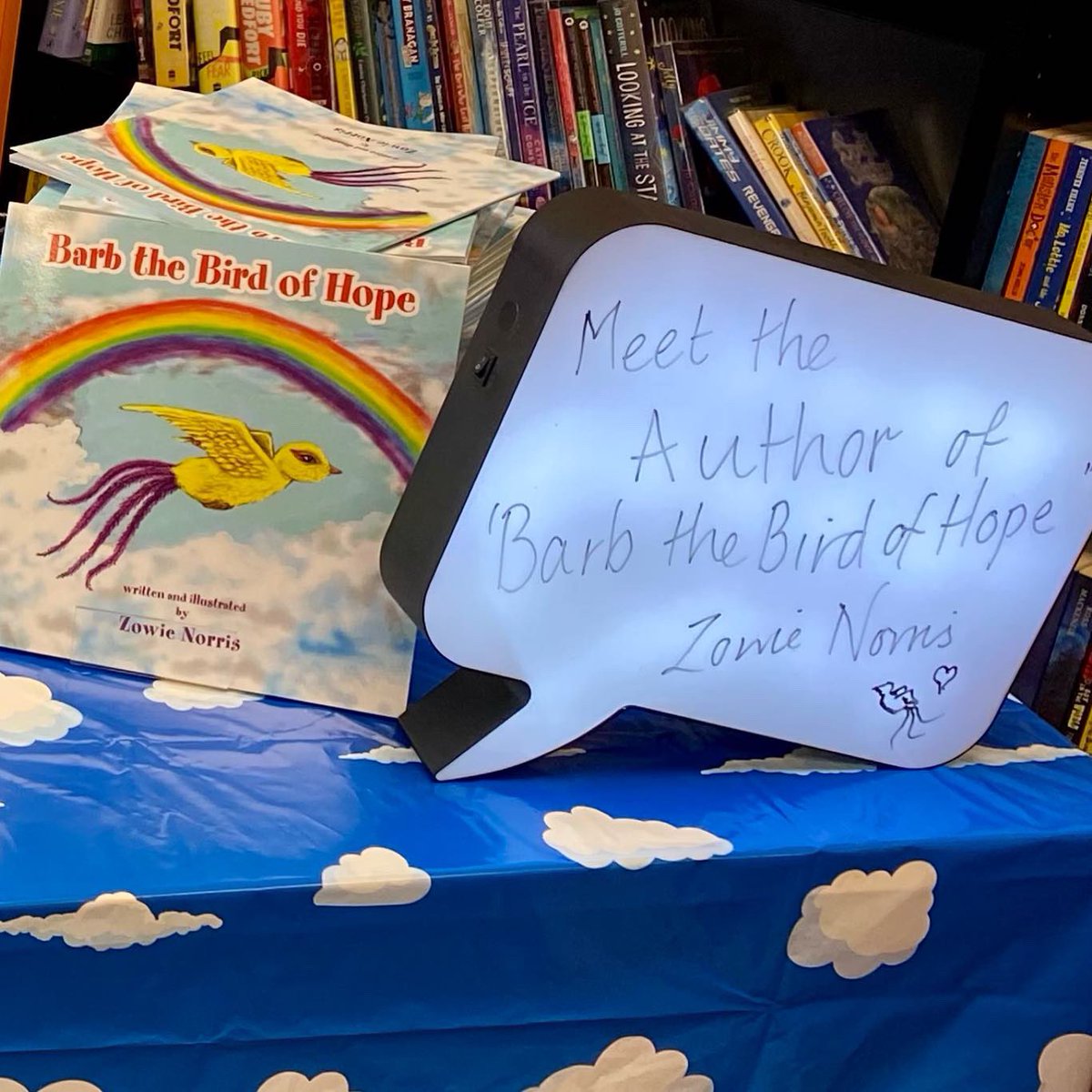 ZowieNorris's tweet photo. Thanks to those who were able to attend my first library visit. Hoping to do more too. My books are now going in 12 libraries in Rotherham 🎉🎉 🌈🐥💕#barbthebirdofhope #Rotherham #Rotherhamlibraries #wickersley #authorslife #WritingCommunity #readingisfun https://t.co/RhsIF2rT36
