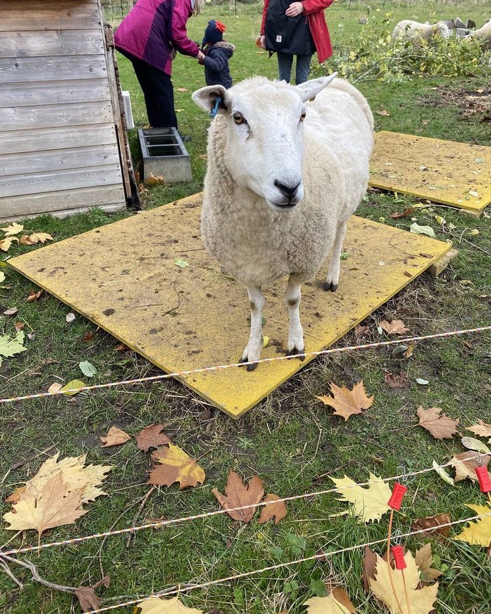 GoodGym Oxford tweet media