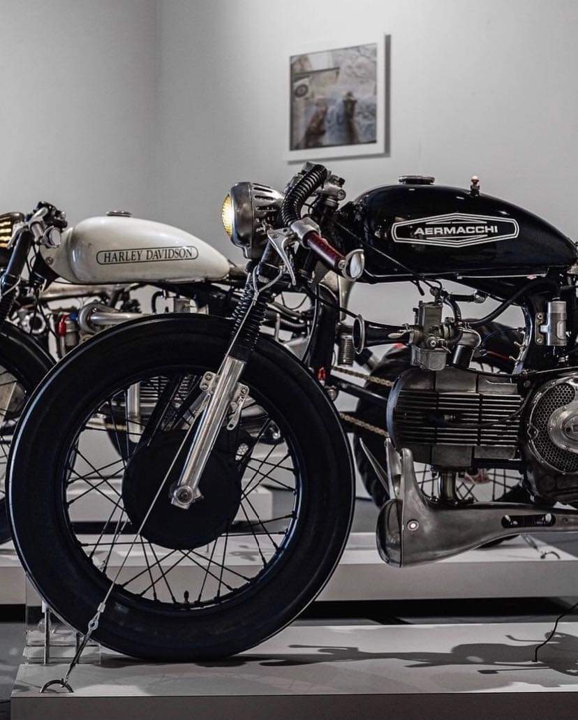 cocozzarod's tweet image. 