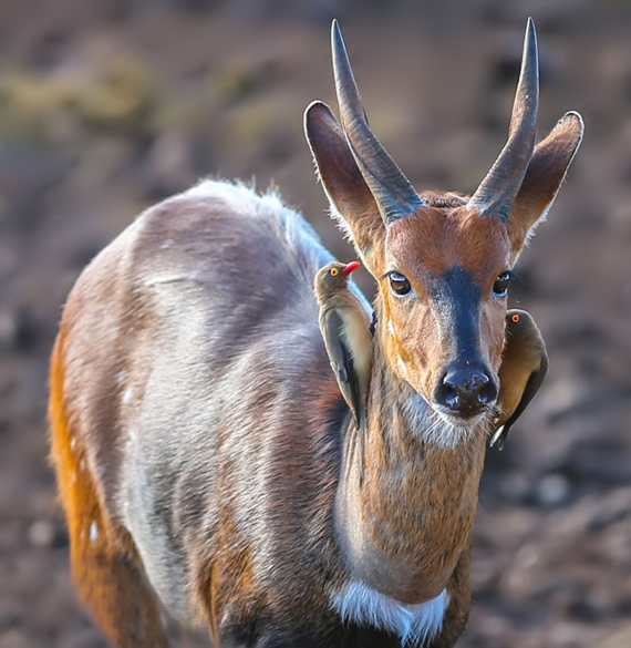 Photographer (@star192323) on Twitter photo 