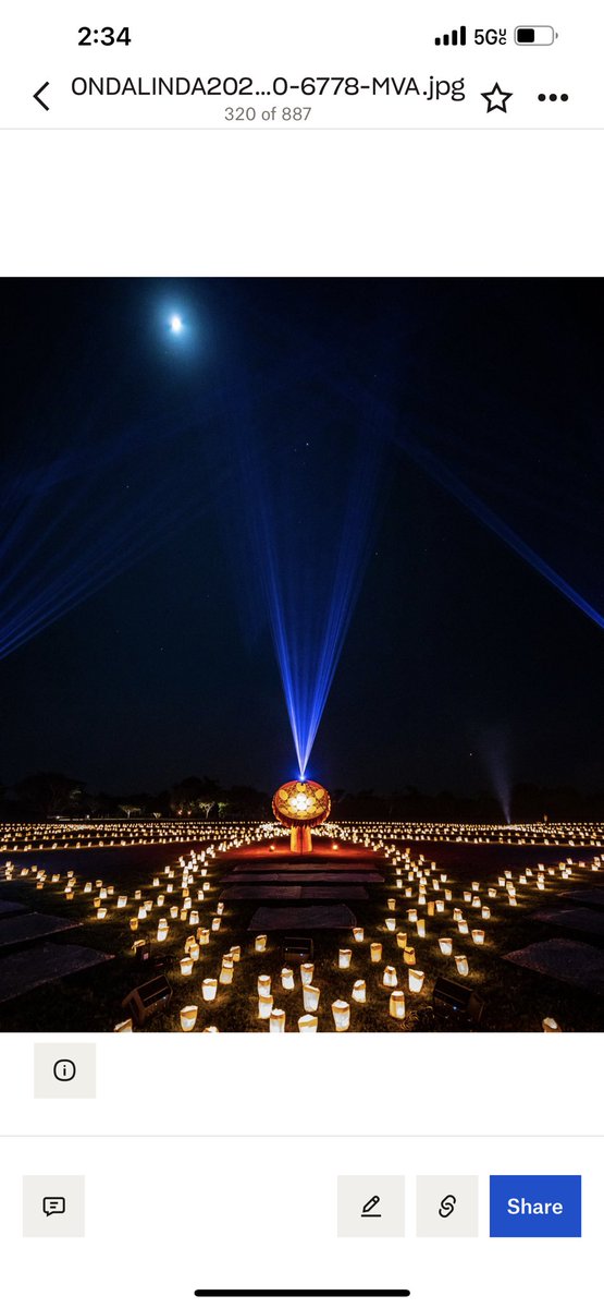 Ondalinda x Careyes 2021 - and we are back for our 5th journey of celebration of the arts, ideas and cultures. The theme this year was inspired by Nature’s worldwide web the mycelium. #Ondalinda