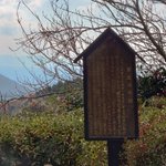 ツイートに含まれる画像