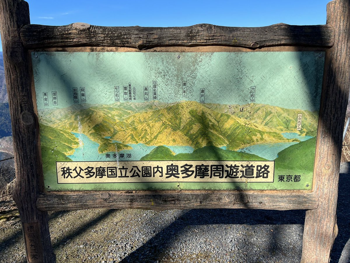 松井 tweet media
