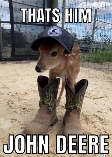 DeerHourly's tweet photo. https://t.co/soZuNpVnKZ