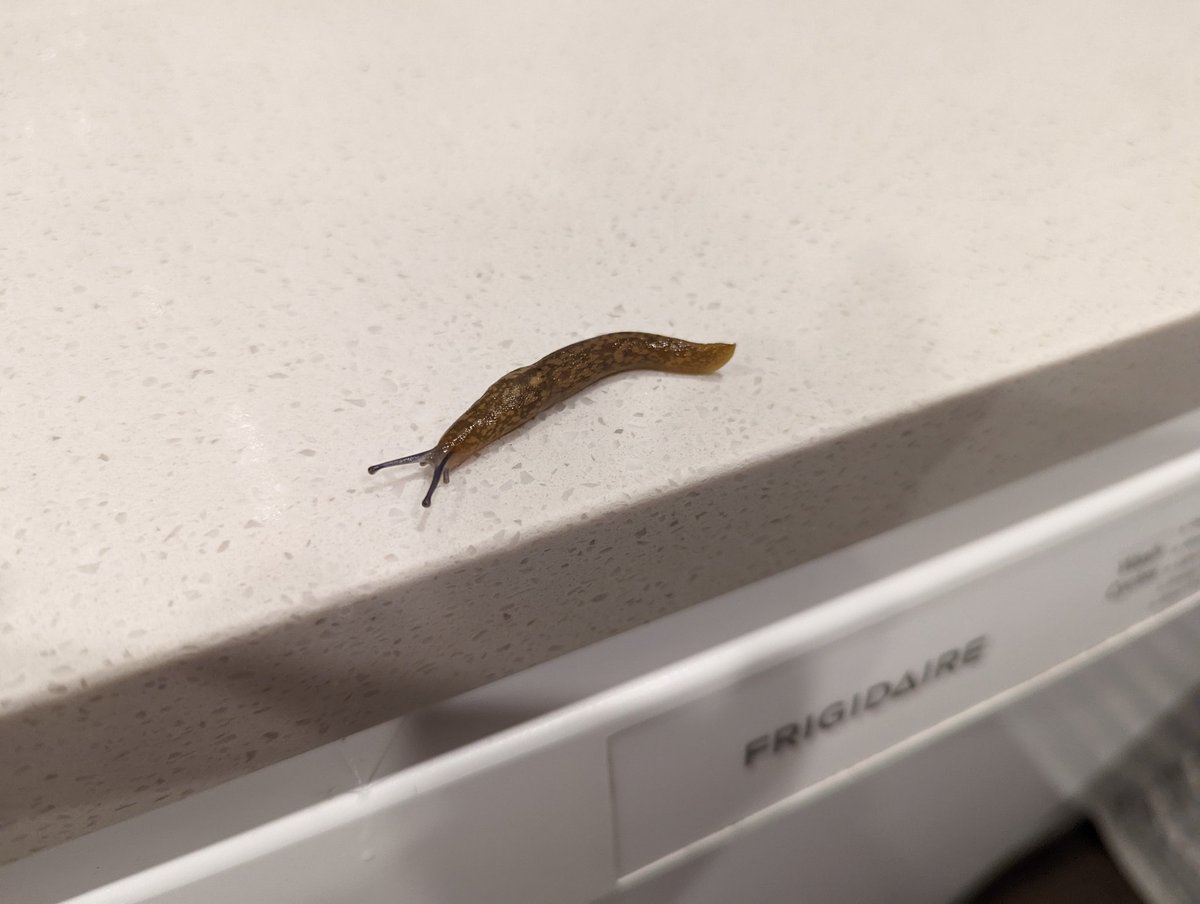 Clara Sia tweet media