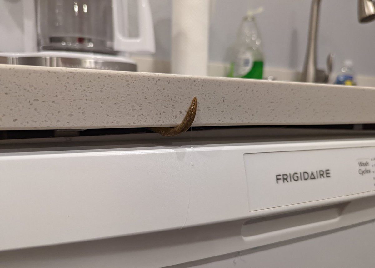 Clara Sia tweet media