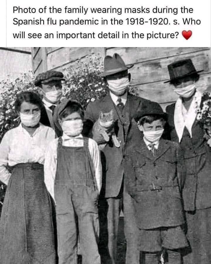 🌎 Donna DLH ♥️🤔 tweet media